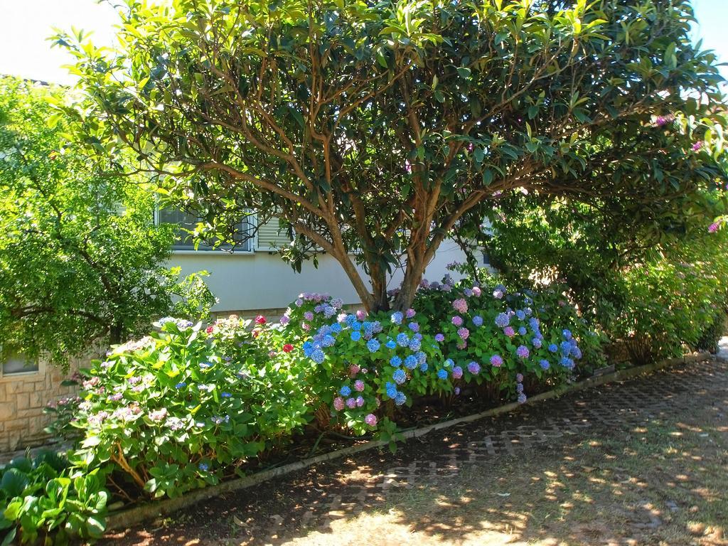 Apartments Vlasta 1410 プレマントゥーラ エクステリア 写真