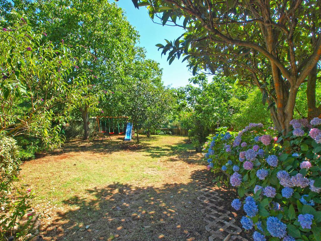 Apartments Vlasta 1410 プレマントゥーラ エクステリア 写真